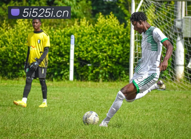 星空体育在线登录官网服务体系